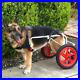 Best_Friend_Mobility_Dog_Wheelchair_Large_lightly_used_great_condition_01_pi