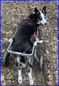 New in box Best Friend MobilityT Medium Dog Wheelchair 40-60lbs dog